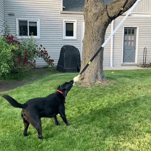 ElasticFun — Jouet de traction élastique pour chiens