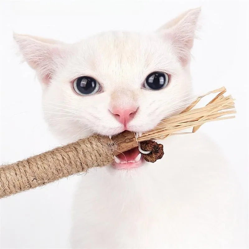 ChatZen Stick