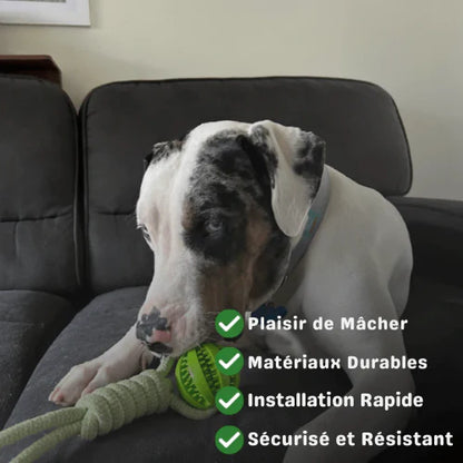 ElasticFun — Jouet de traction élastique pour chiens