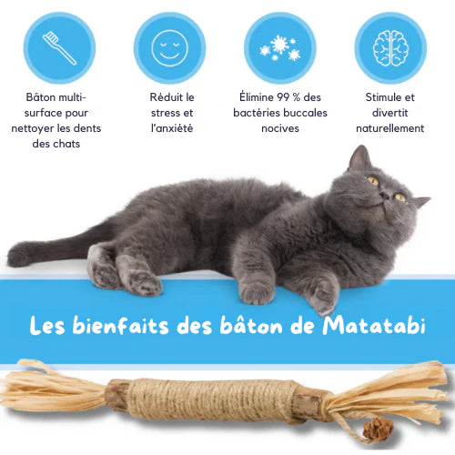 ChatZen Stick