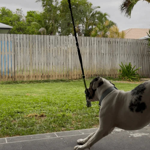 ElasticFun — Jouet de traction élastique pour chiens