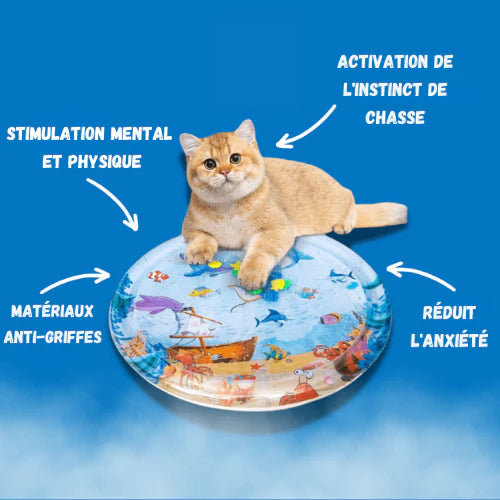 FélinCool Tapis de Jeu