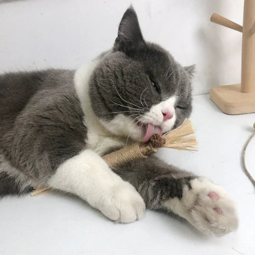 ChatZen Stick