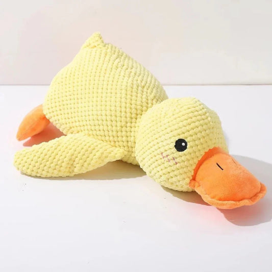 Le Canard Zen - la Sérénité Interactive