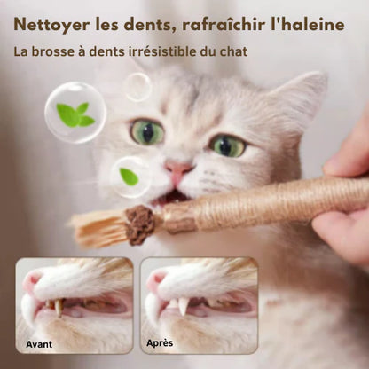 ChatZen Stick
