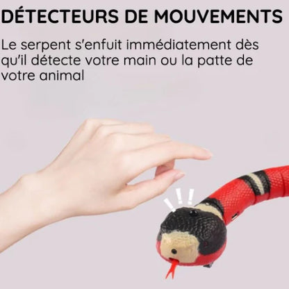 FurRiot – Le Serpent Fou