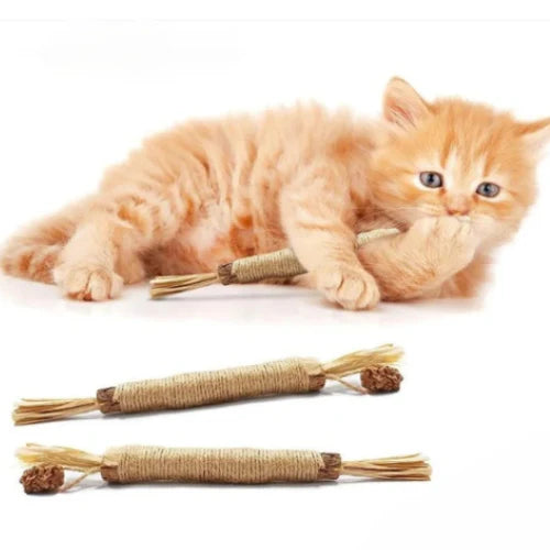 ChatZen Stick
