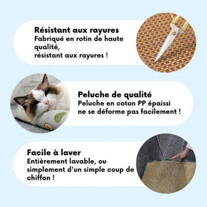 CoolPaw — Tapis rafraîchissant pour chats et chiens