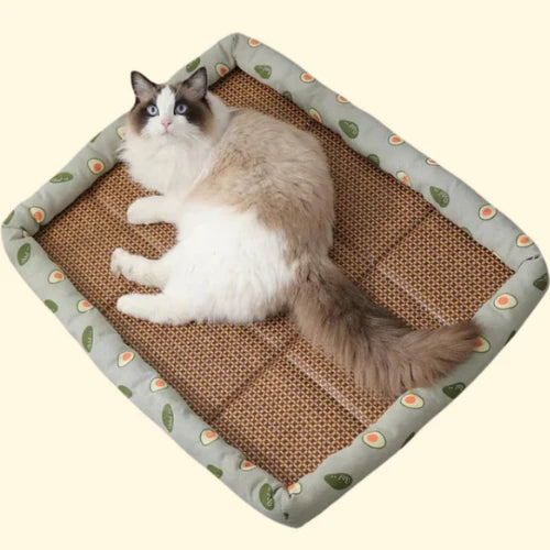 CoolPaw — Tapis rafraîchissant pour chats et chiens