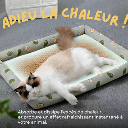 CoolPaw — Tapis rafraîchissant pour chats et chiens