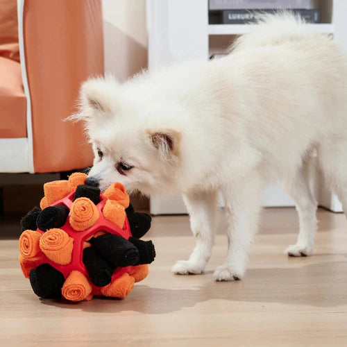 ExplorerSniff — Balle Intelligente pour Chiens Curieux