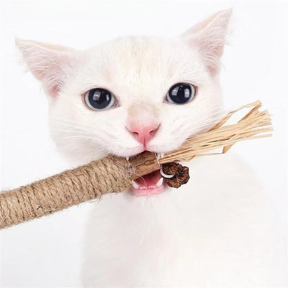 ChatZen Stick