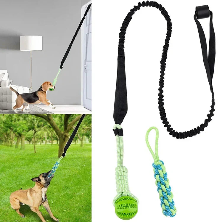 ElasticFun — Jouet de traction élastique pour chiens