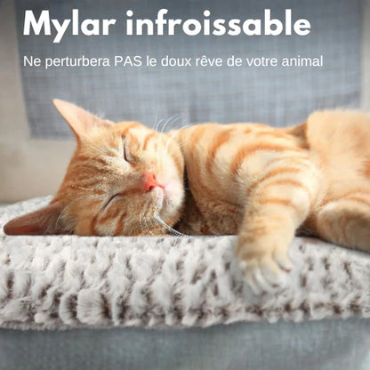 ChaleurDouce — Tapis Auto-Chauffant pour Animaux